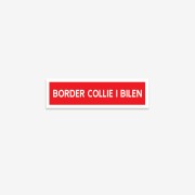 Border Collie i Bilen Klisterdekal
